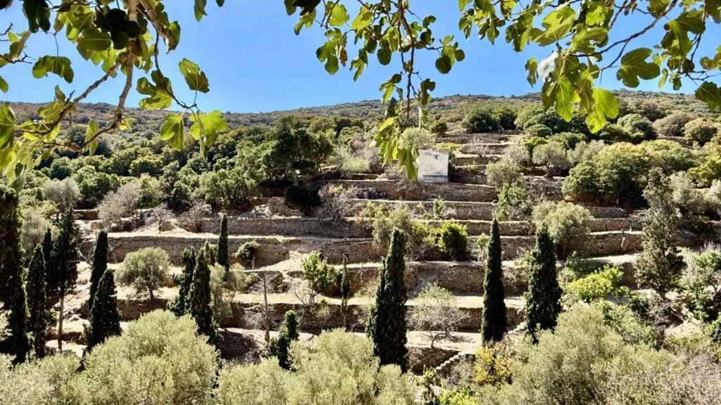 Terrassmurar
