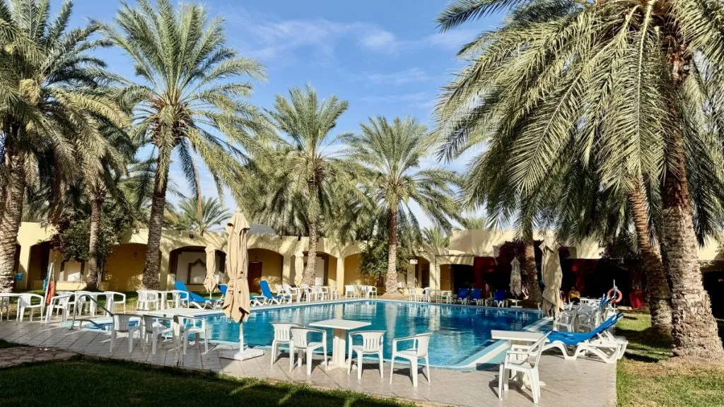 Sun Palm Douz