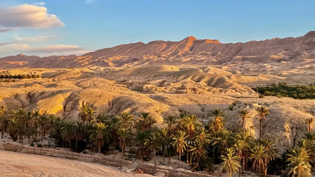Tamerza