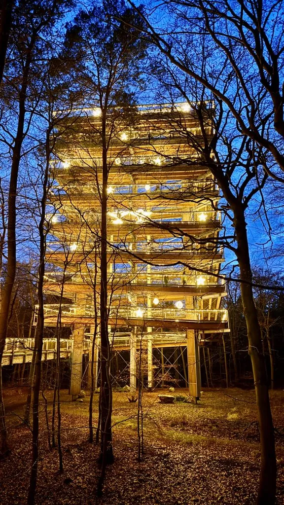 Trädtoppsbana