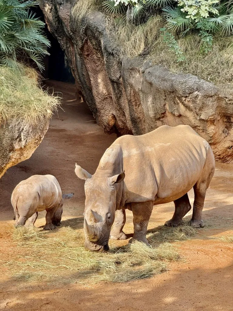 Biopark Valencia
