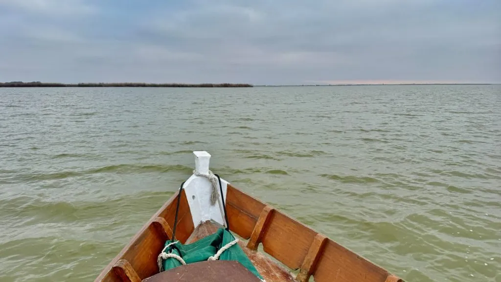 Båttur Albufera