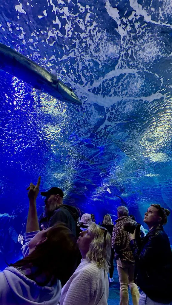 Oceanografic