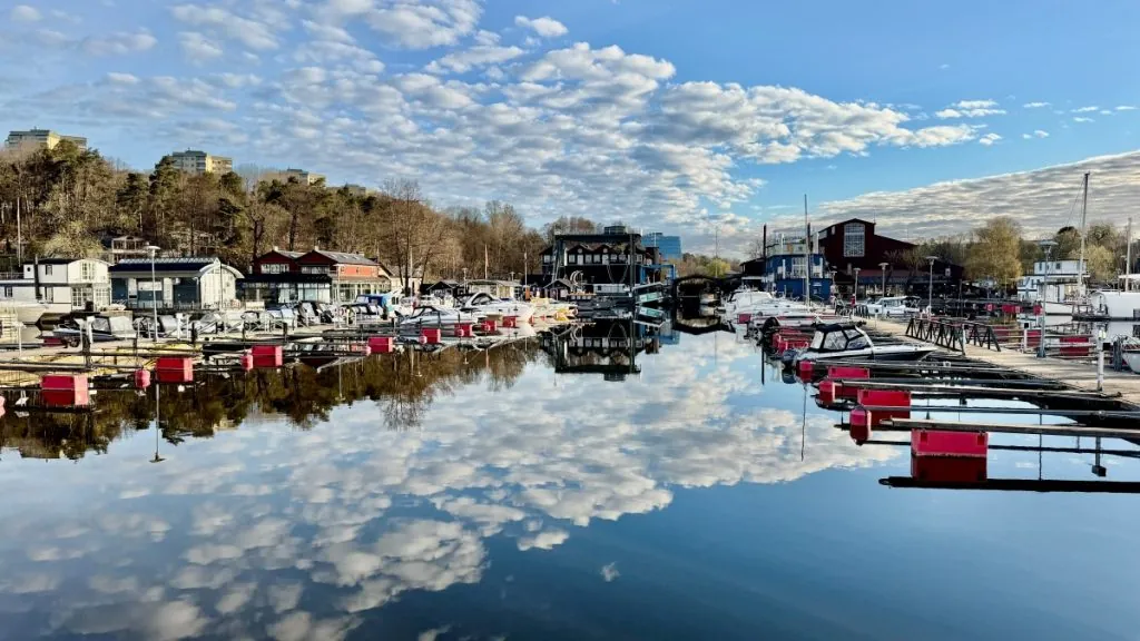 Pampas marina