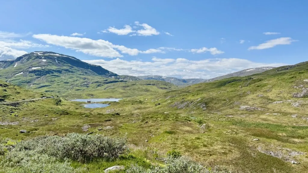 Norska fjäll