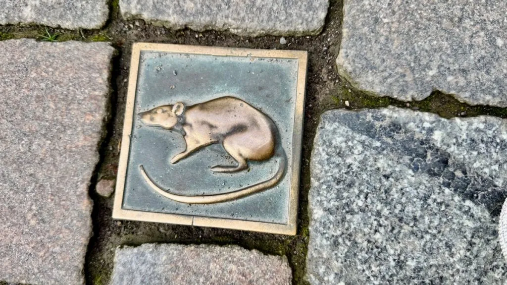 Råttor i Hameln