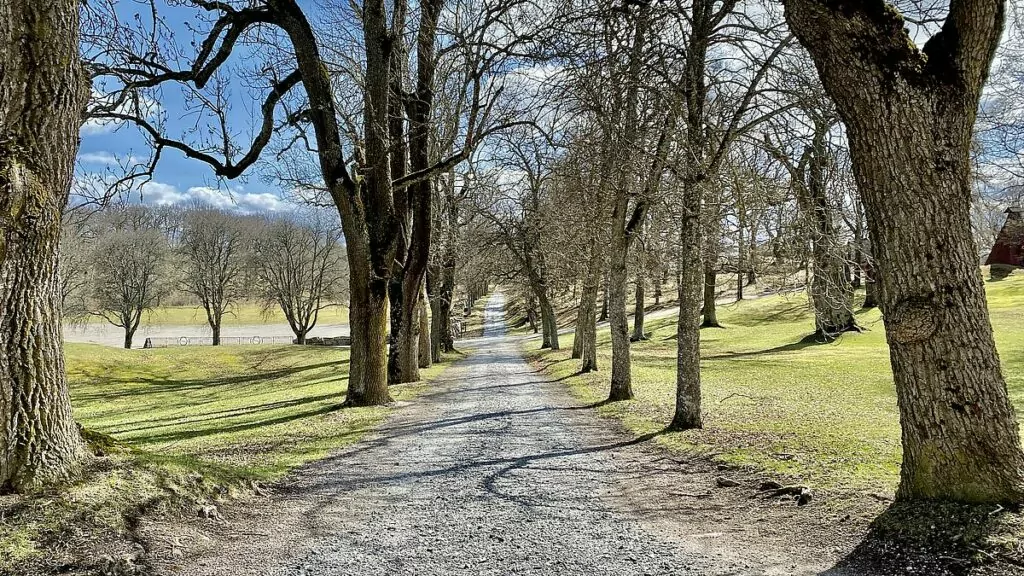 Allé vid Tidö slott