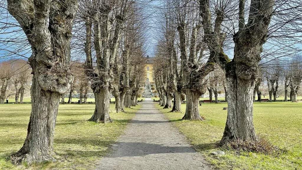 Wenngarns slott slottsträdgård