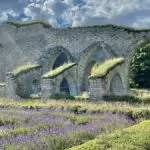 Alvastra klosterruin – och Rökstenen i Rök