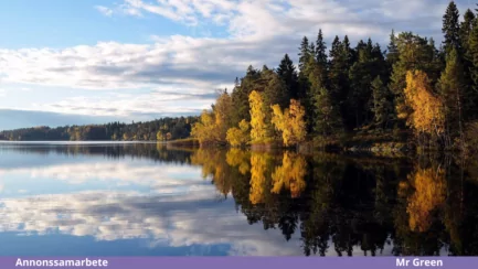 De 3 vackraste naturupplevelserna i Sverige?
