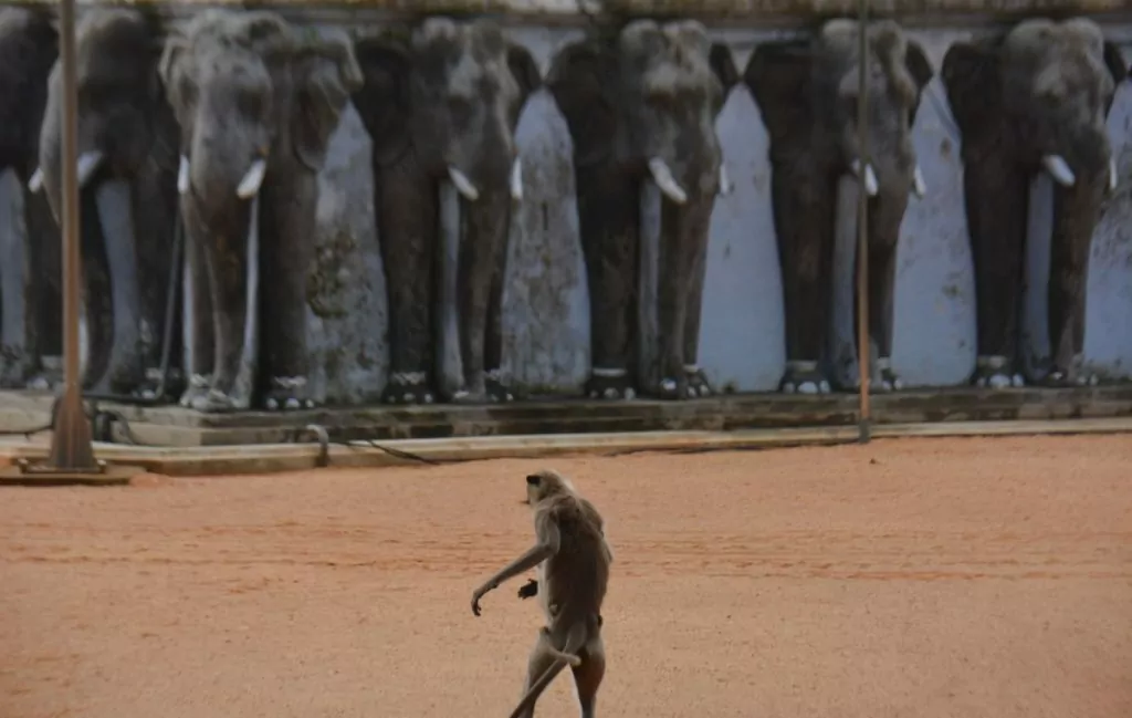 Apa i Anuradhapura