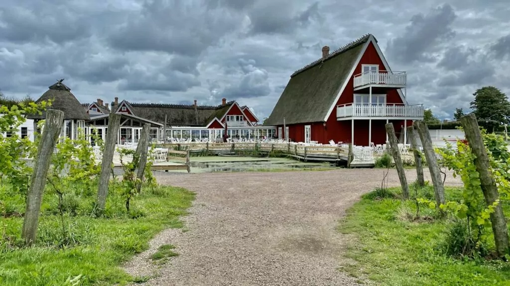 Svenska vingårdar - Arilds