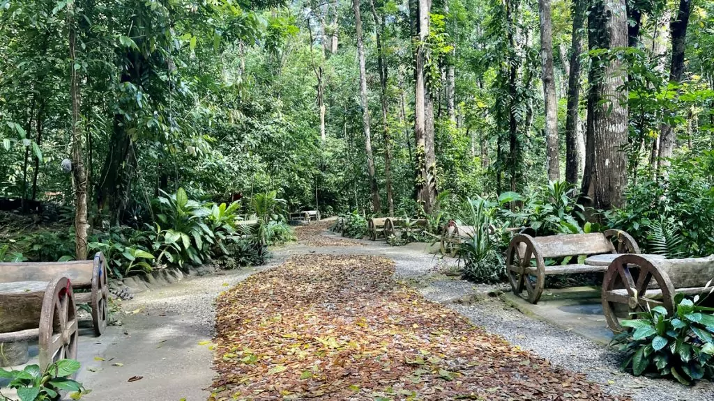Bilar Eco Park Bohol