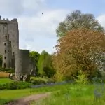 Blarney Castle i Cork – druider och magiska stenar