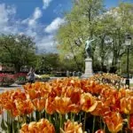Kungsträdgården i Stockholm – och palatset Makalös