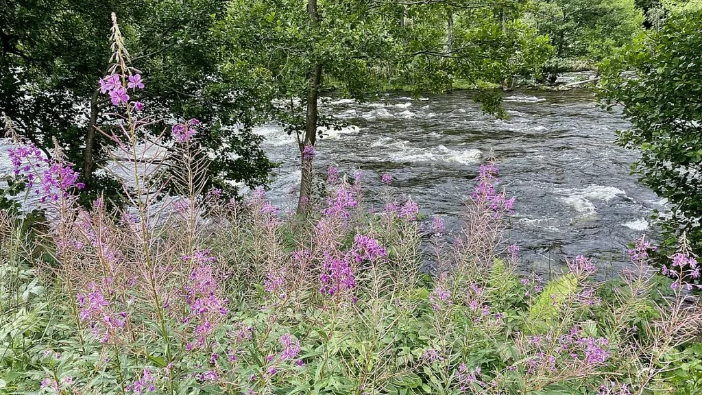 Dalslands kanal med husbil