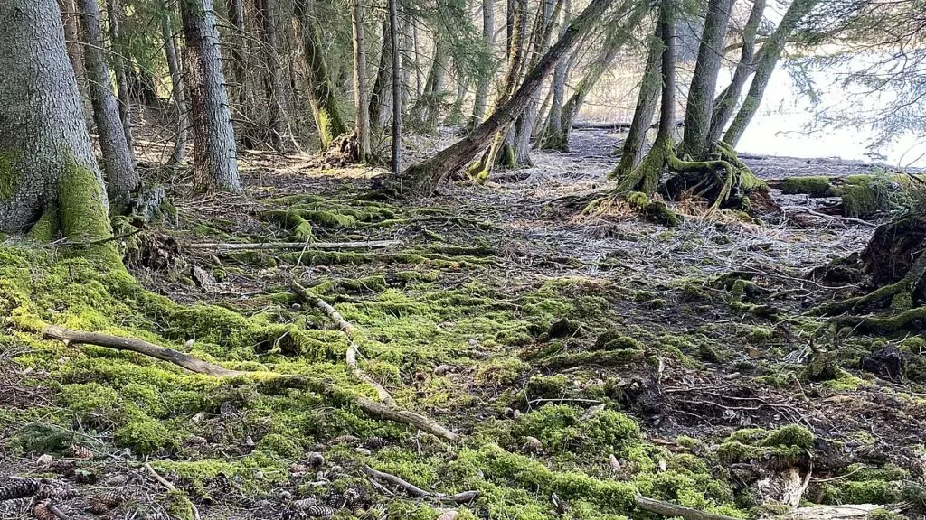 Bogesundslandets naturreservat