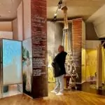 Bohusläns museum i Uddevalla – ett intressant besök