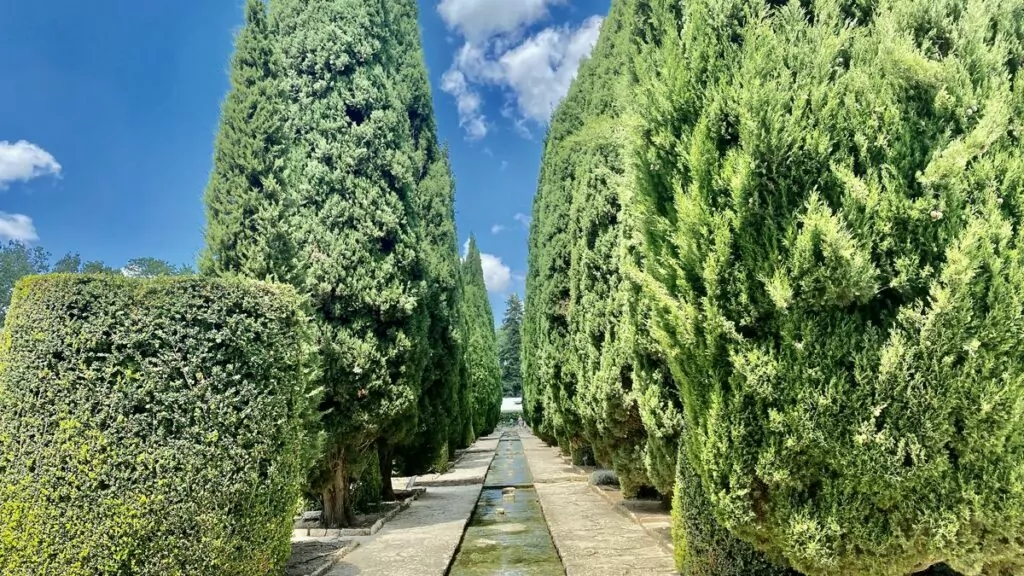 Baltjik i Bulgarien - den botaniska trädgården