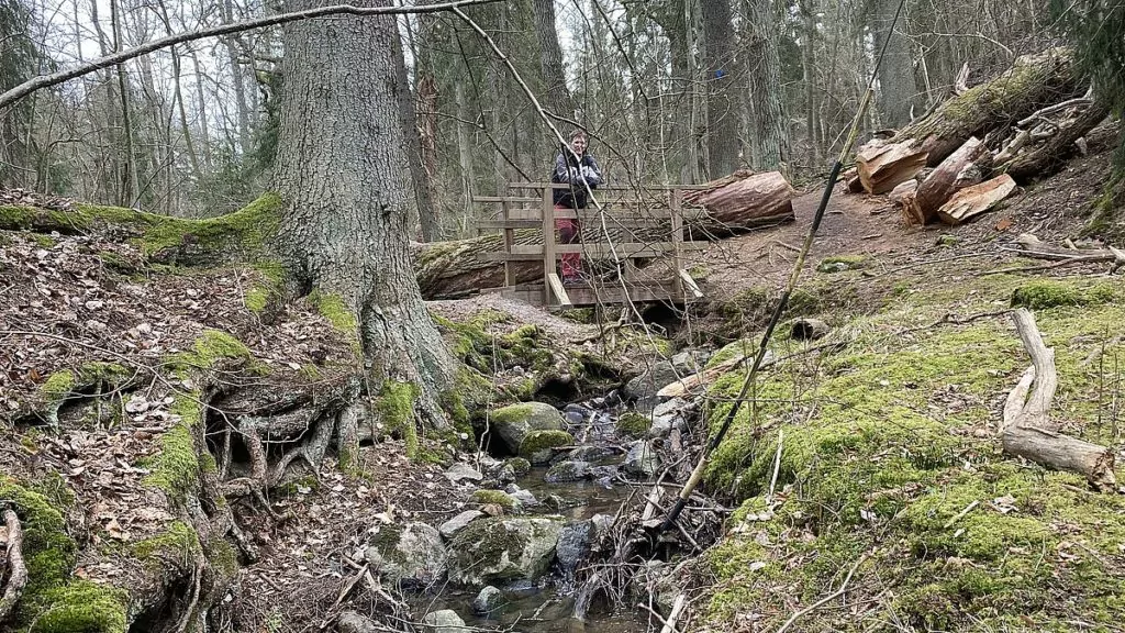 Helena i Nyckelvikens naturreservat