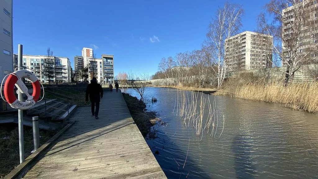 Egen bäversafari i Stockholm