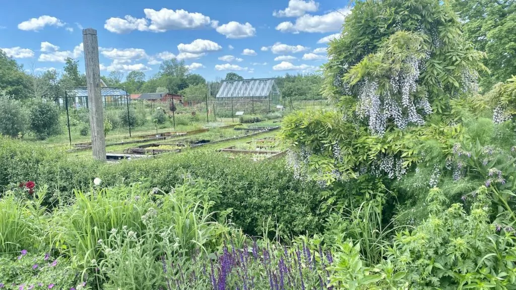 Sevärdheter på Öland - Capellagården