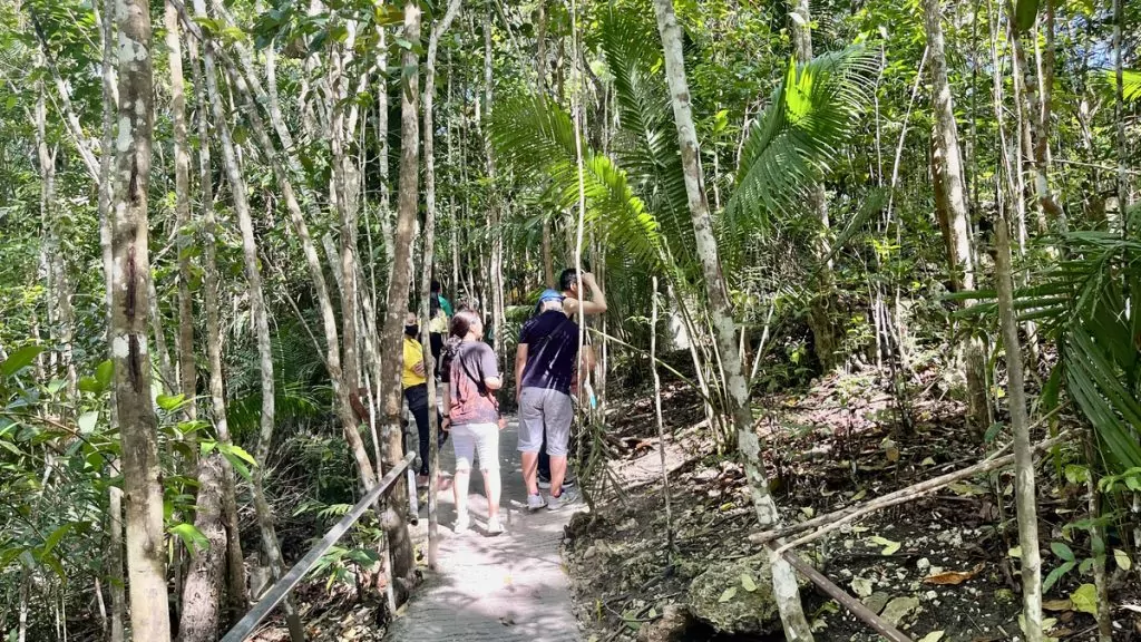 Tarsier Conservation area Bohol