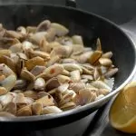 Coquinas – supergoda småmusslor