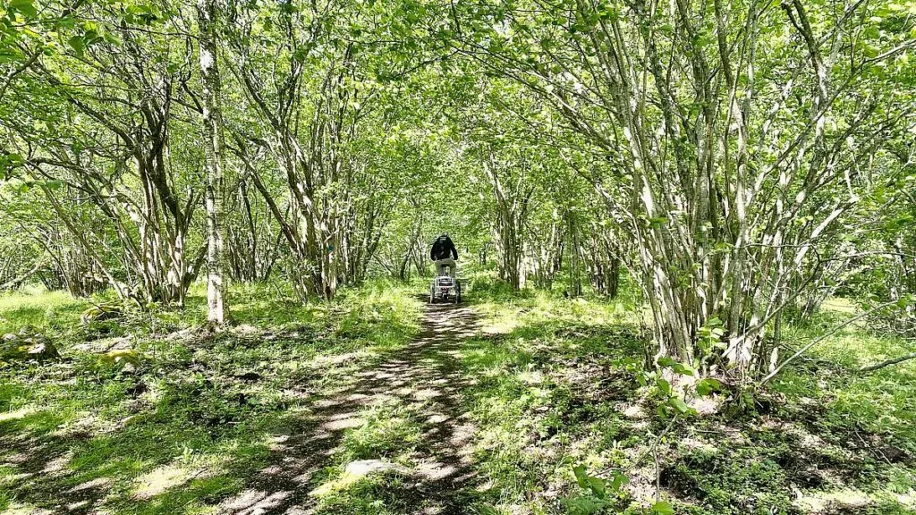 Riddersholms naturreservat