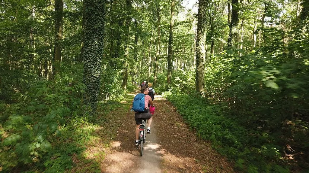 Cykla i Mecklenburg-Vorpommern