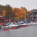 Höstlista 2019 – våra höstiga favoriter