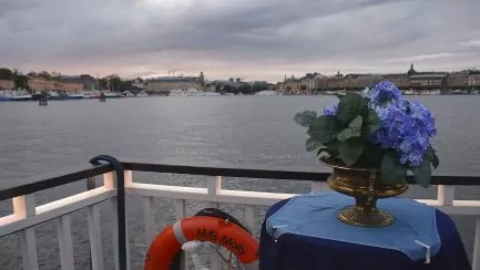 M/S Molly