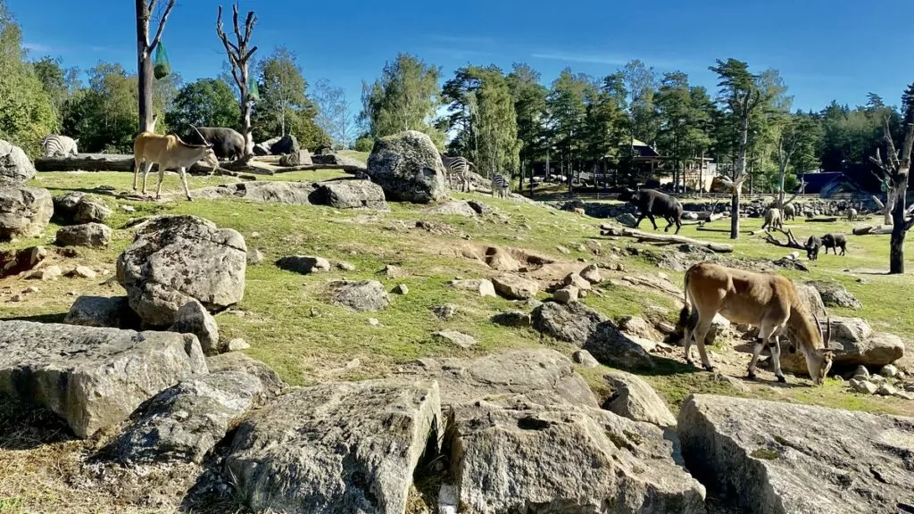 Göra i Borås - djurpark