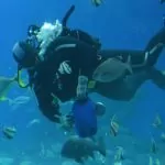 Underwater Observatory i Eilat – en värld under ytan
