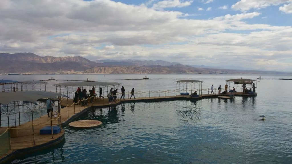 Eilat Israel delfiner