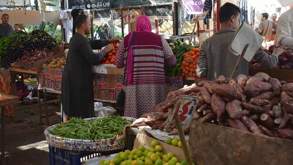 Göra i Hurghada - besöka mar