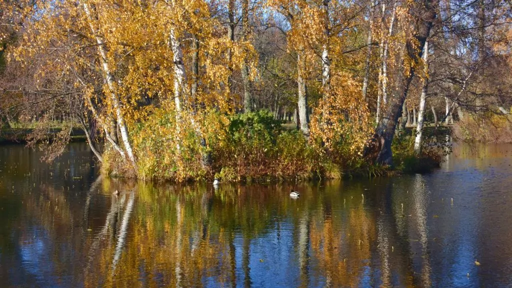 Engelska parken vid Drottningholms slott