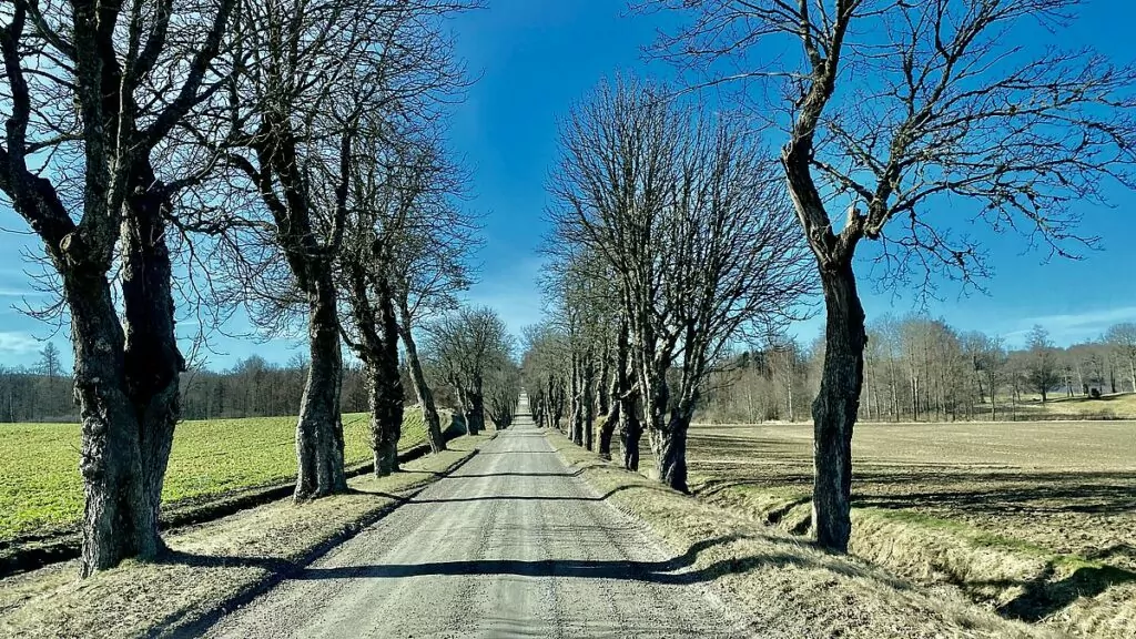 Ericsbergs slott allé