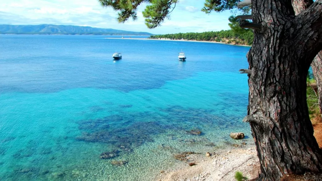 Göra i Kroatien - bada i Europas klaraste vatten