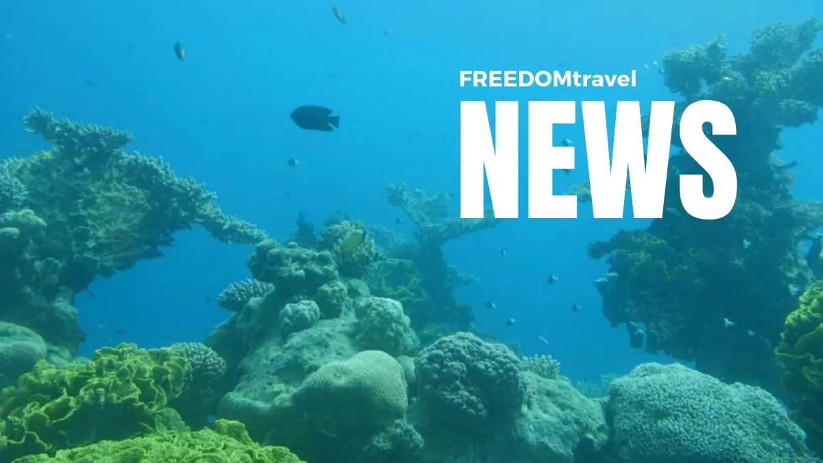 FREEDOMtravel