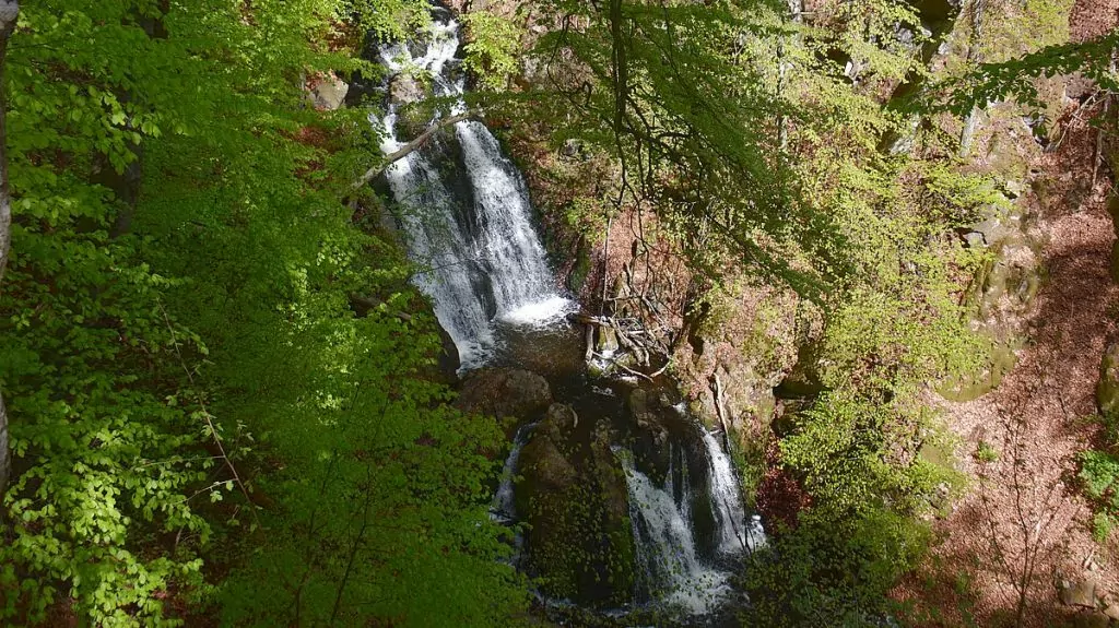 Forsakarravinen i nordöstra Skåne