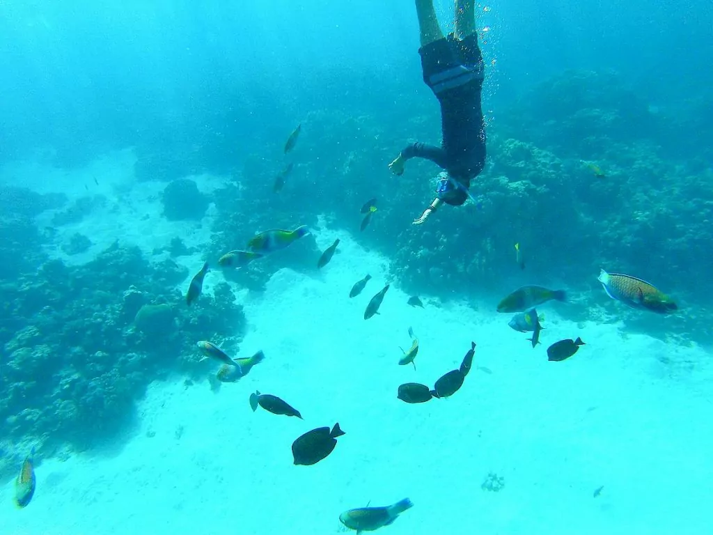 Göra i Hurghada: Snorkla i Röda havet