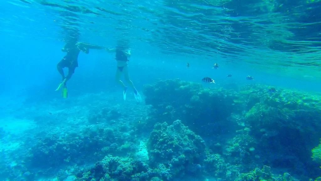 Snorkla i Sharm el Sheikh