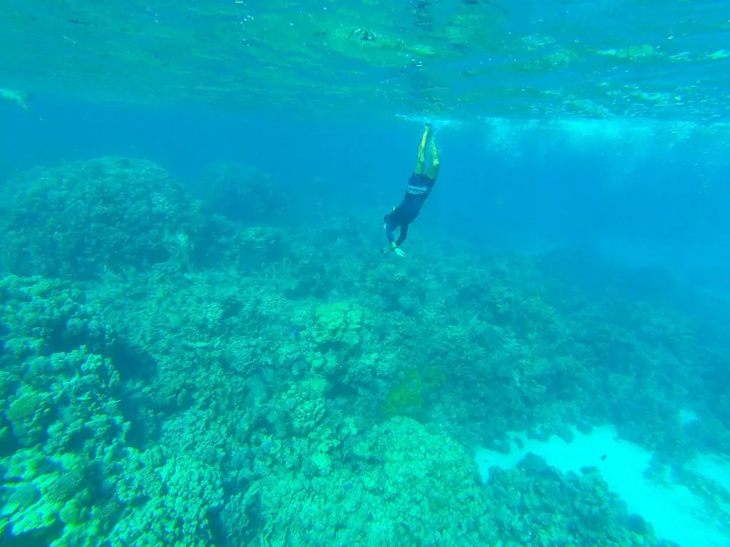 Snorkla i Röda havet