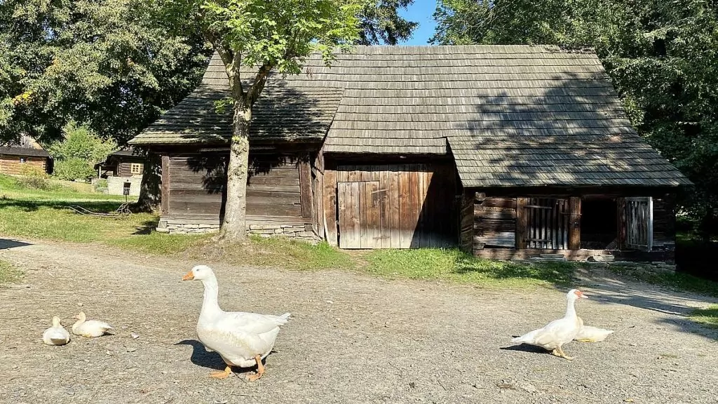 Wallachian Open Air museum - friluftsmuseum i Tjeckien