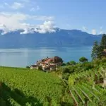 Vinregionen Lavaux i Schweiz – och ett besök på Chaplin’s World