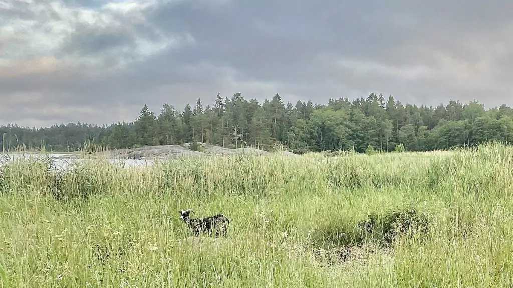 Get på Ängskärs havscamping