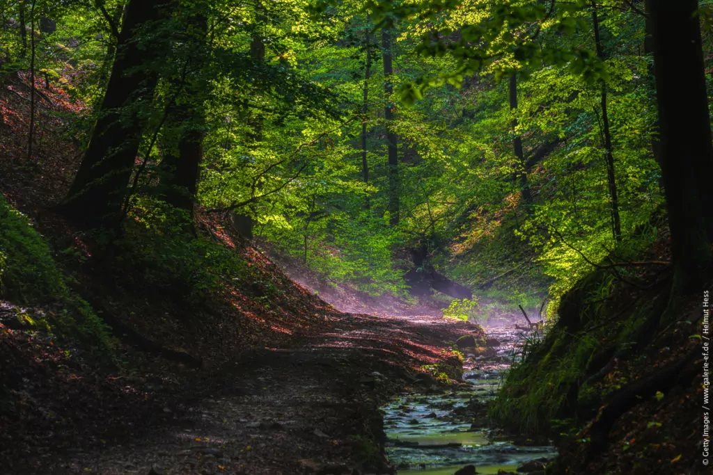 Naturområden i Tyskland - Thuringer Wald