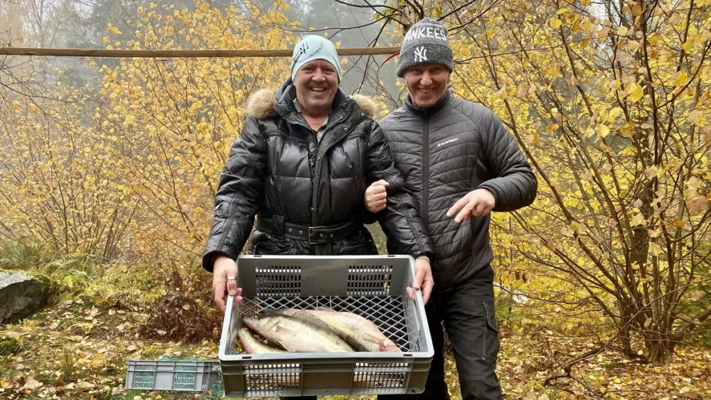 Fiska med nät i Mälaren - fångst