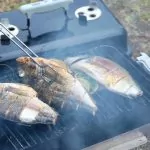 Läsarnas bästa grilltips